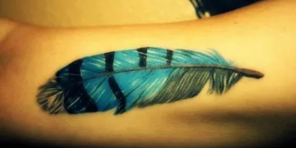 Blue Jay Feather Tattoo 