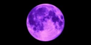 Purple Moon Guide