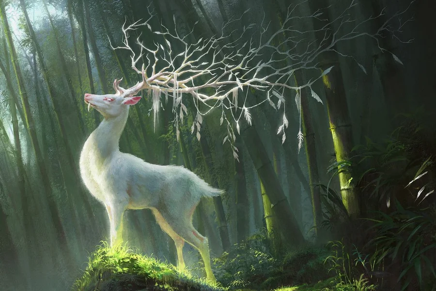 2 Deer Spiritual Meaning