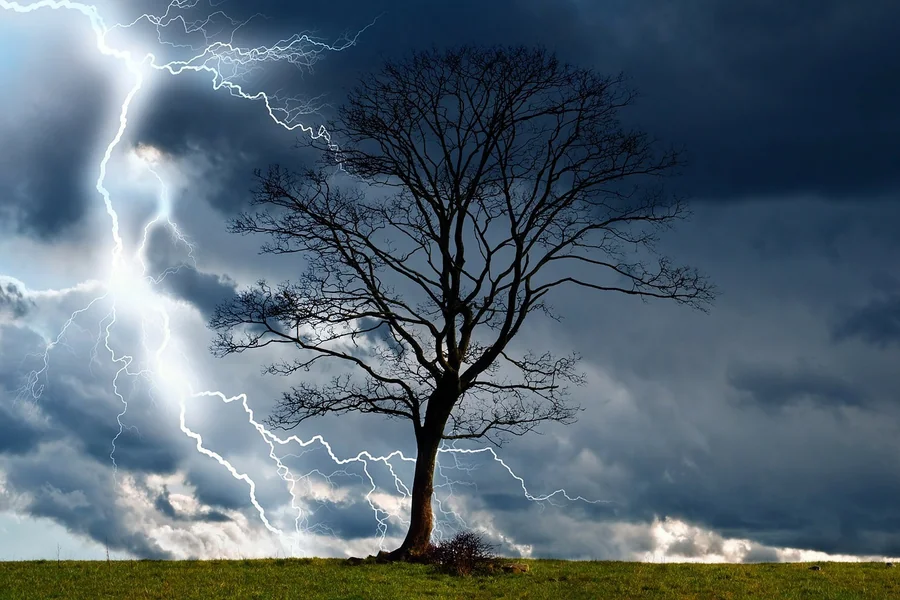 Tree Struck by Lightning Biblical Meaning