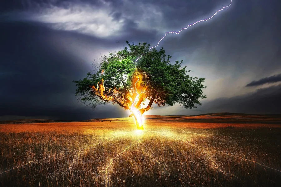 Tree Struck by Lightning Biblical Meaning