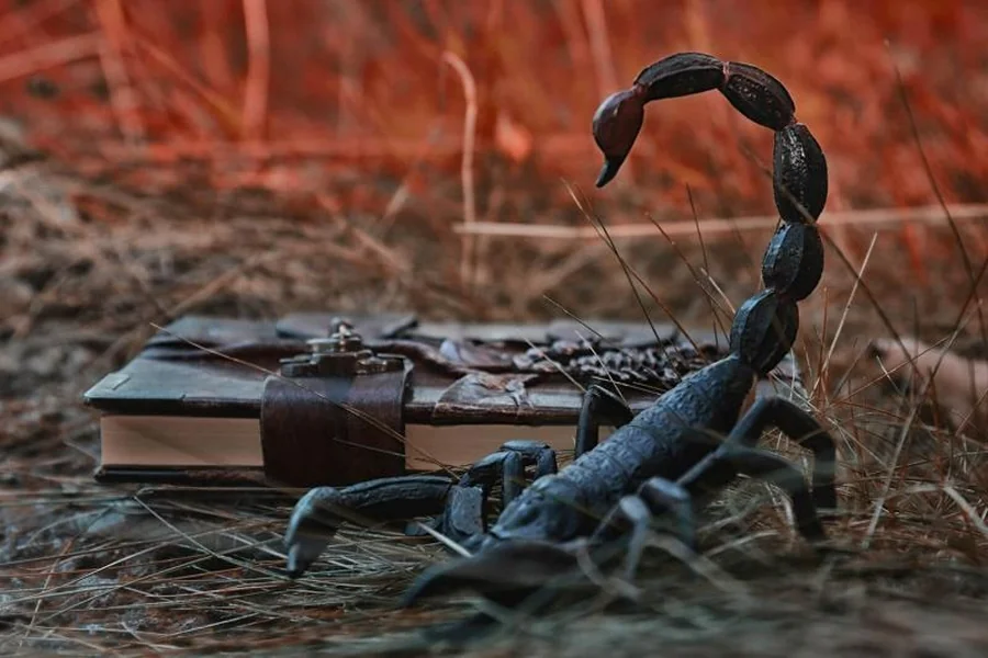 What Do Scorpions Symbolize