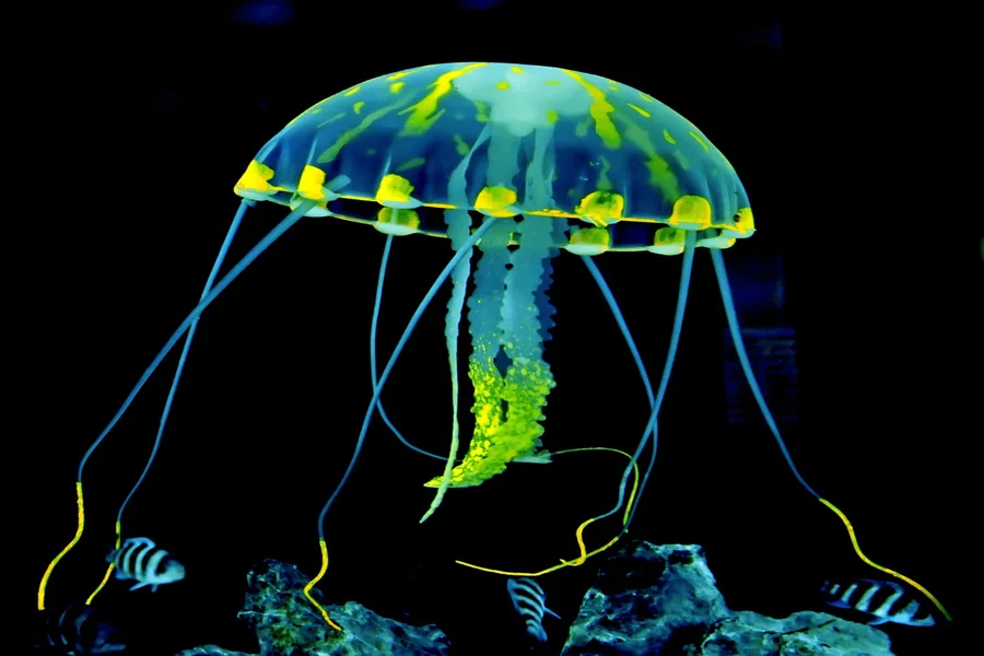 Jellyfish Spiritual Meaning