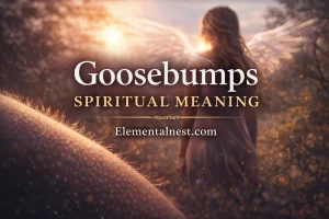 Goosebumps Spiritual Meaning