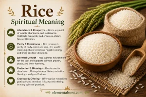 Rice Spiritual Meaning