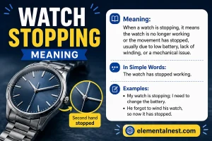Watch Stopping Meaning