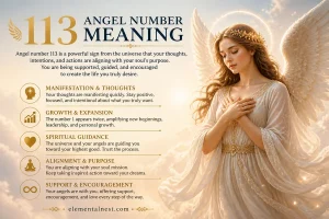 113 Angel Number Meaning