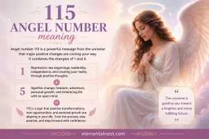 115 Angel Number Meaning