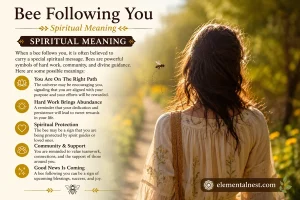 Bee Following You Spiritual Meaning