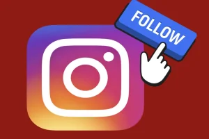Instagram Following List Viewer