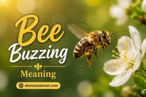 Bee Buzzing Meaning