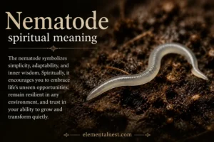 Nematode Spiritual Meaning