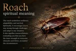 Roach Spiritual Meaning
