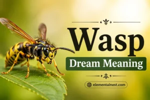 Wasp Dream Meaning