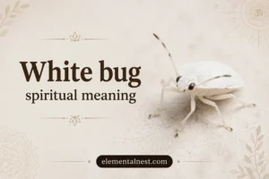 White Bug Spiritual Meaning