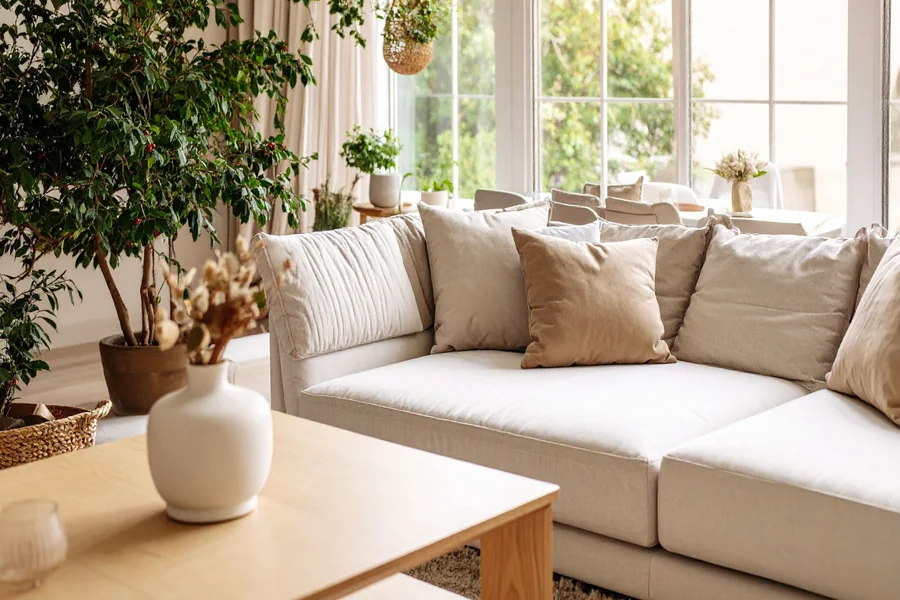 Living Room Couches