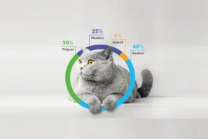 Cat’s Breed Through DNA Analysis