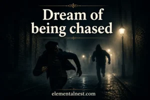 Dream of Being Chased Meaning