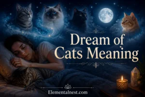 Dream of Cats Meaning