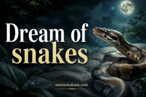 Dream of Snakes Meaning