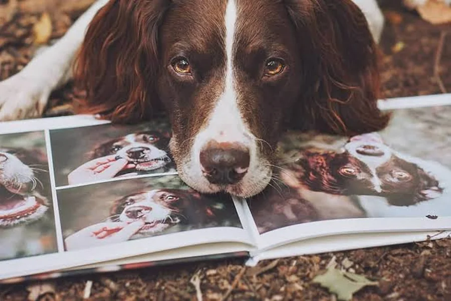 Pet Photo Album