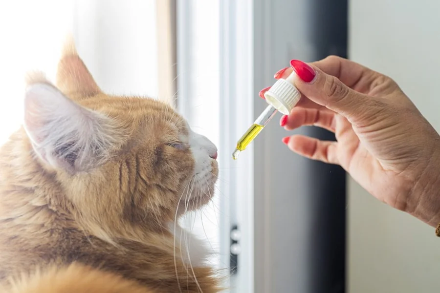 Cat's Supplement Dose