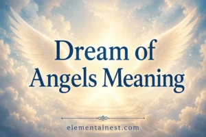Dream of Angels Meaning