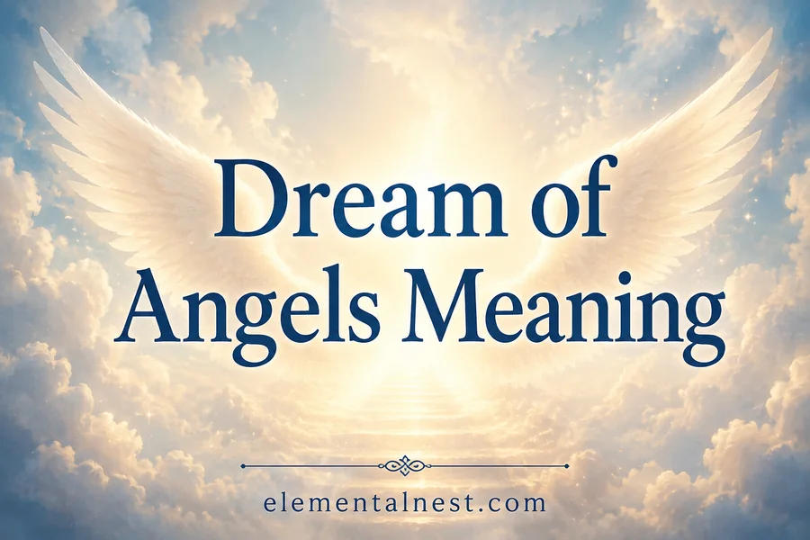 Dream of Angels Meaning