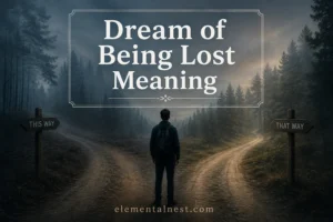 Dream of Being Lost Meaning