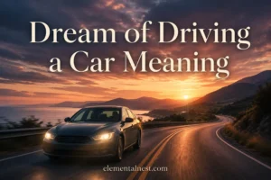 Dream of Driving a Car Meaning