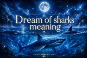 Dream of Sharks Meaning