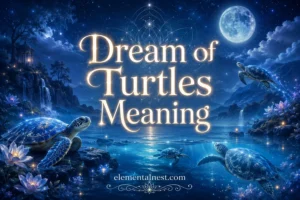 Dream of Turtles Meaning