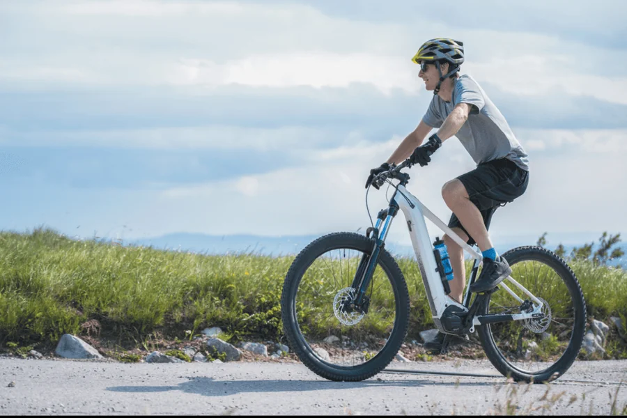 Electric Bike