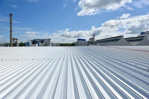 Roof Protection