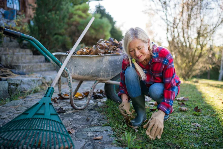 Yard Work