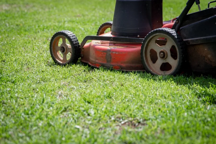 Lawn Care