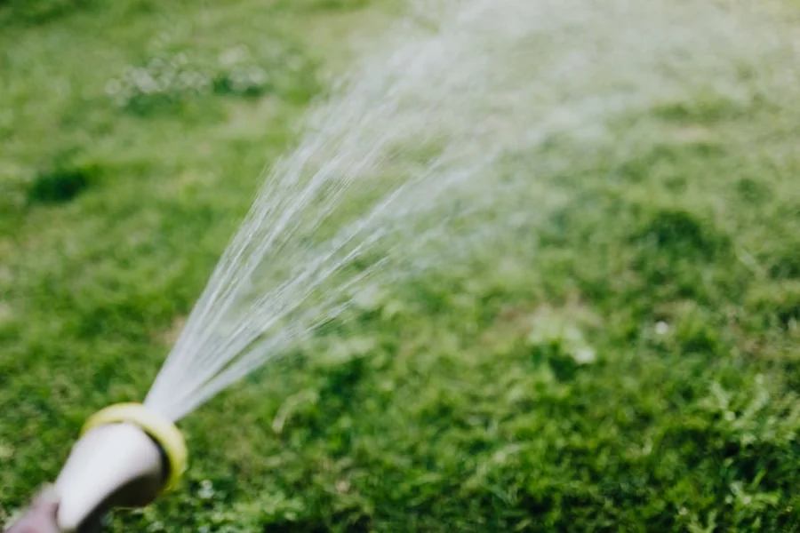 Lawn Care