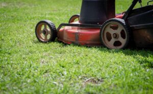 Lawn Care