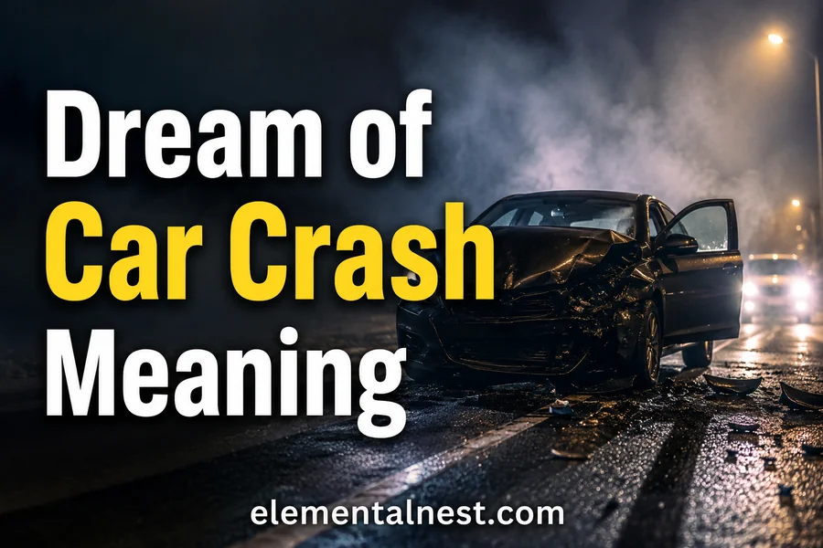 Dream of Car Crash Meaning