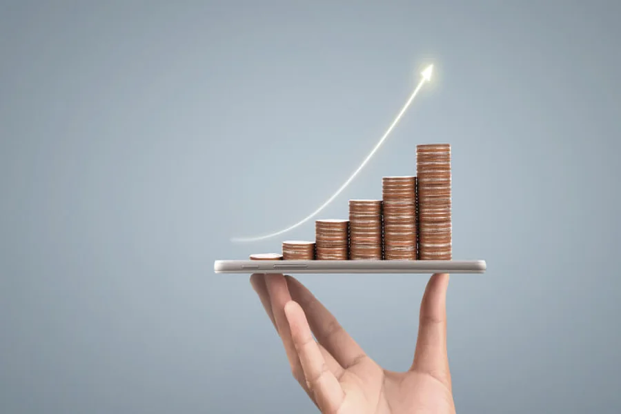Investment Holding Company