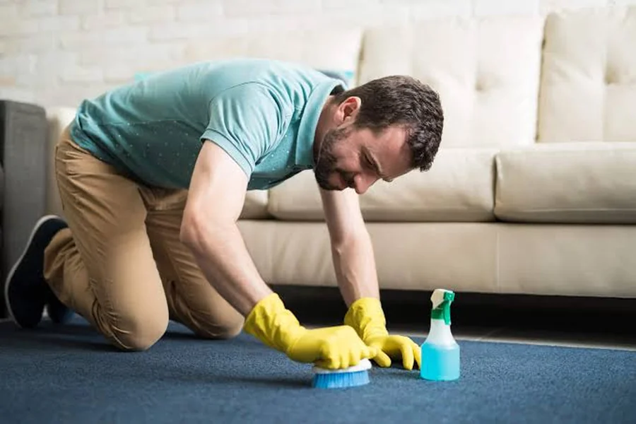 Most Common Carpet Cleaning
