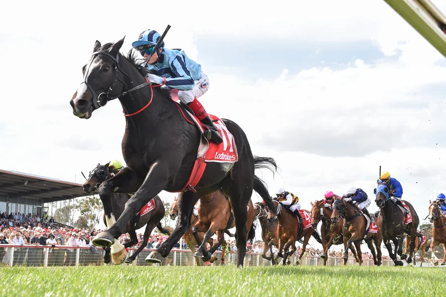 Melbourne Cup